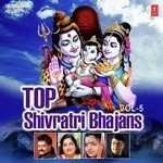 Top Shivratri Bhajans Vol - 5 - Dhananjay Mishra Song Download